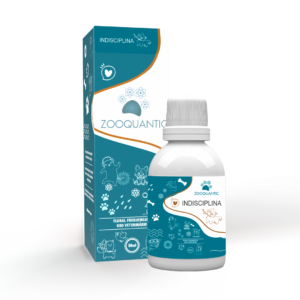 INDISCIPLINA - LINHA ZOOQUANTIC