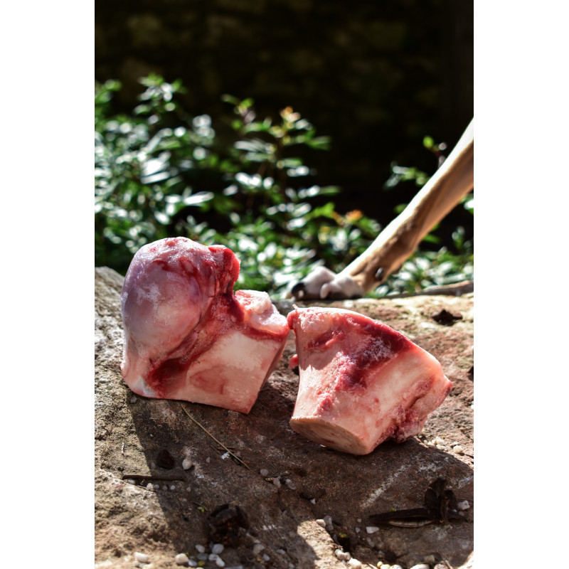 Osso Recreativo Natural - Congelado