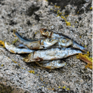 Sardinha Pequena Desidratada
