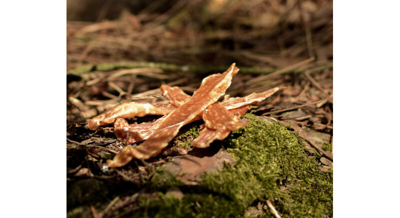 Tiras de Frango Desidratadas